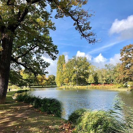 Studio Au Calme Dans Jardin A 30Min De Paris Avec Nouvelle Literie Шату Екстер'єр фото